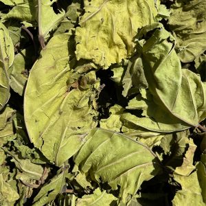 ALIDANKÉ FEUILLES